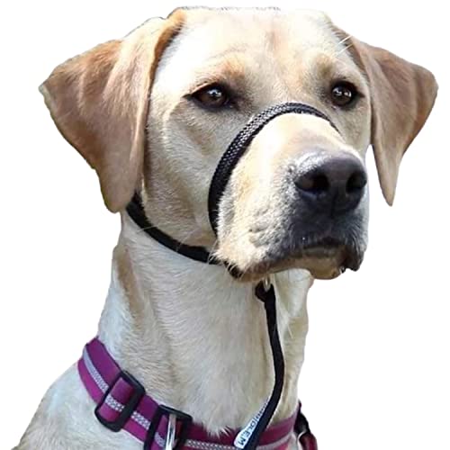 Premium Geschirr Hund - Erziehungshalsband liebevoll, Antizug- / no Pull Geschirr garantiert, mindert Aggression, Antibellhalsband, Kopfhalfter,...